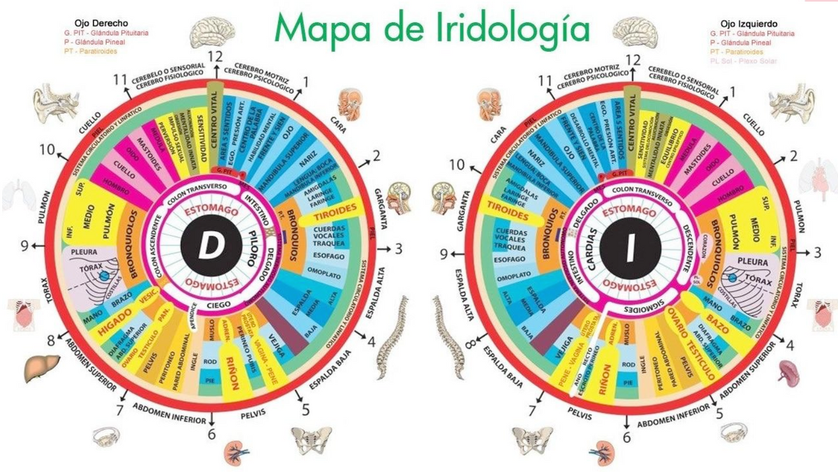 Lectura de Iris
